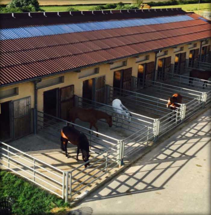 UNE PENSION SUR-MESURE POUR LE BIEN DE VOS CHEVAUX