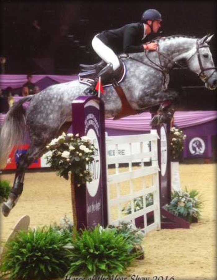 ENTRAÎNEMENT SPORTIF AVEC LE HARAS DES DIAMANTS