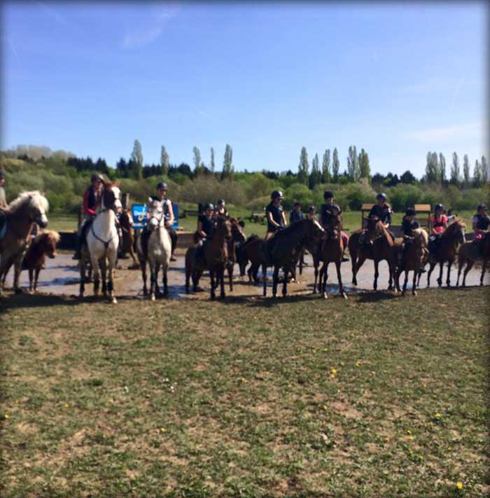 VENEZ PROFITER DE NOS PROMENADES À CHEVAL OU EN CALÈCHE DANS LES VIGNES